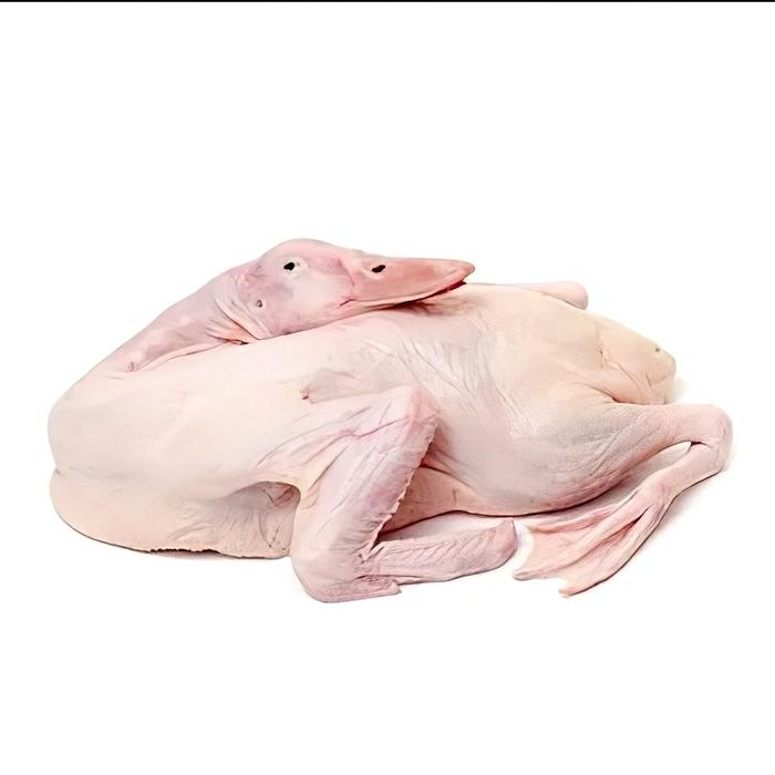 Daging Bebek